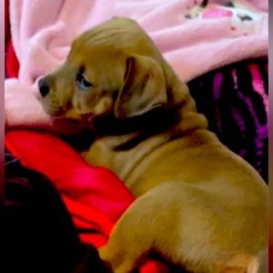 Meet your Posher, Nelly